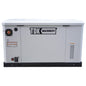 Planta de Emergencia Generador Estacionario Profesional 22 kw Trifasico a Gas Tdk Machinery  ATS INCLUIDO – TDKGE25NG